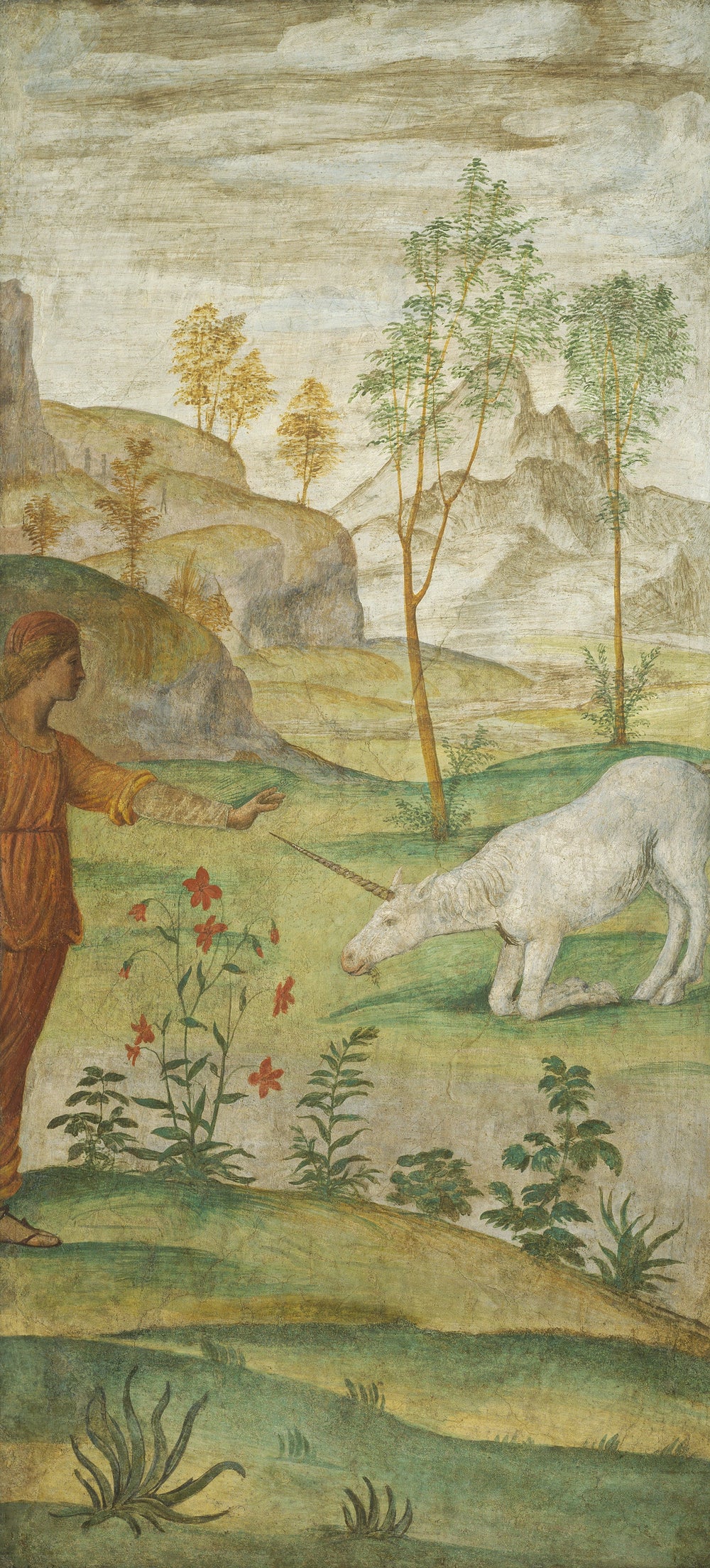 Procris et la Licorne - Bernardino Luini - Alpha Reproduction