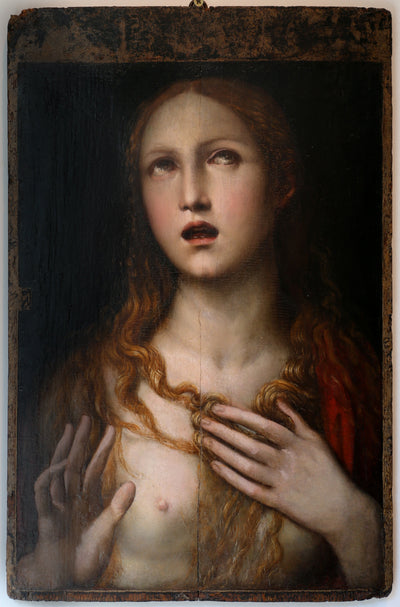 Q117777120 - Il Sodoma (Giovanni Antonio Bazzi) - Alpha Reproduction