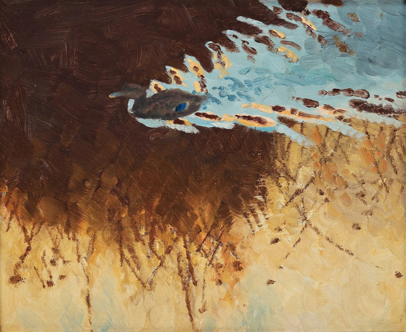 reflets de canards et d'eau - Bruno Liljefors