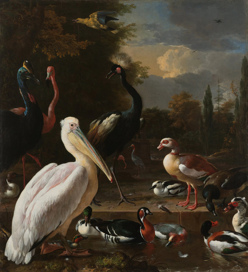 Le ressort flottant - Melchior de Hondecoeter