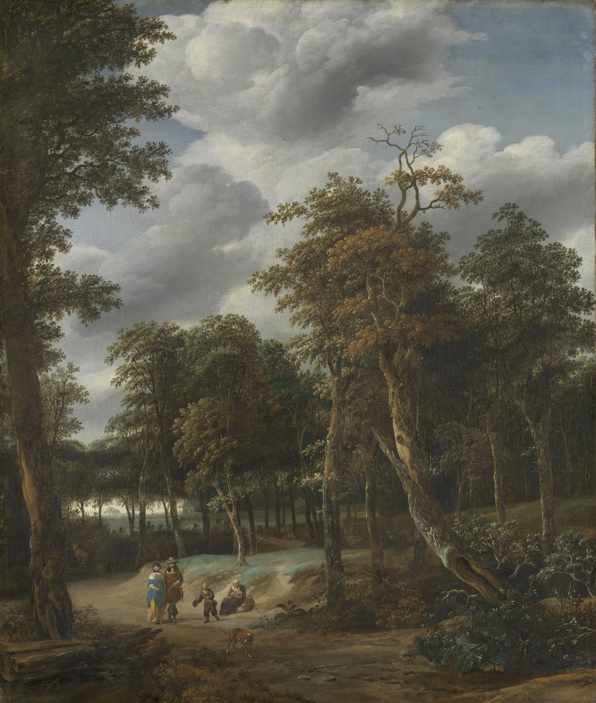 Route forestière - Jan Looten