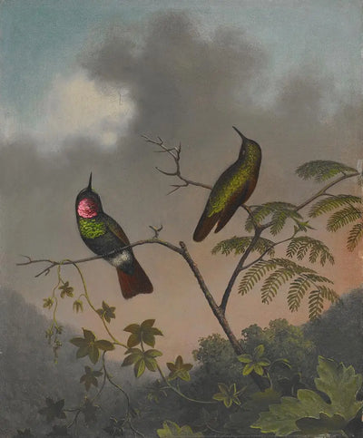 Rubis brésilien - Martin Johnson Heade - Alpha Reproduction