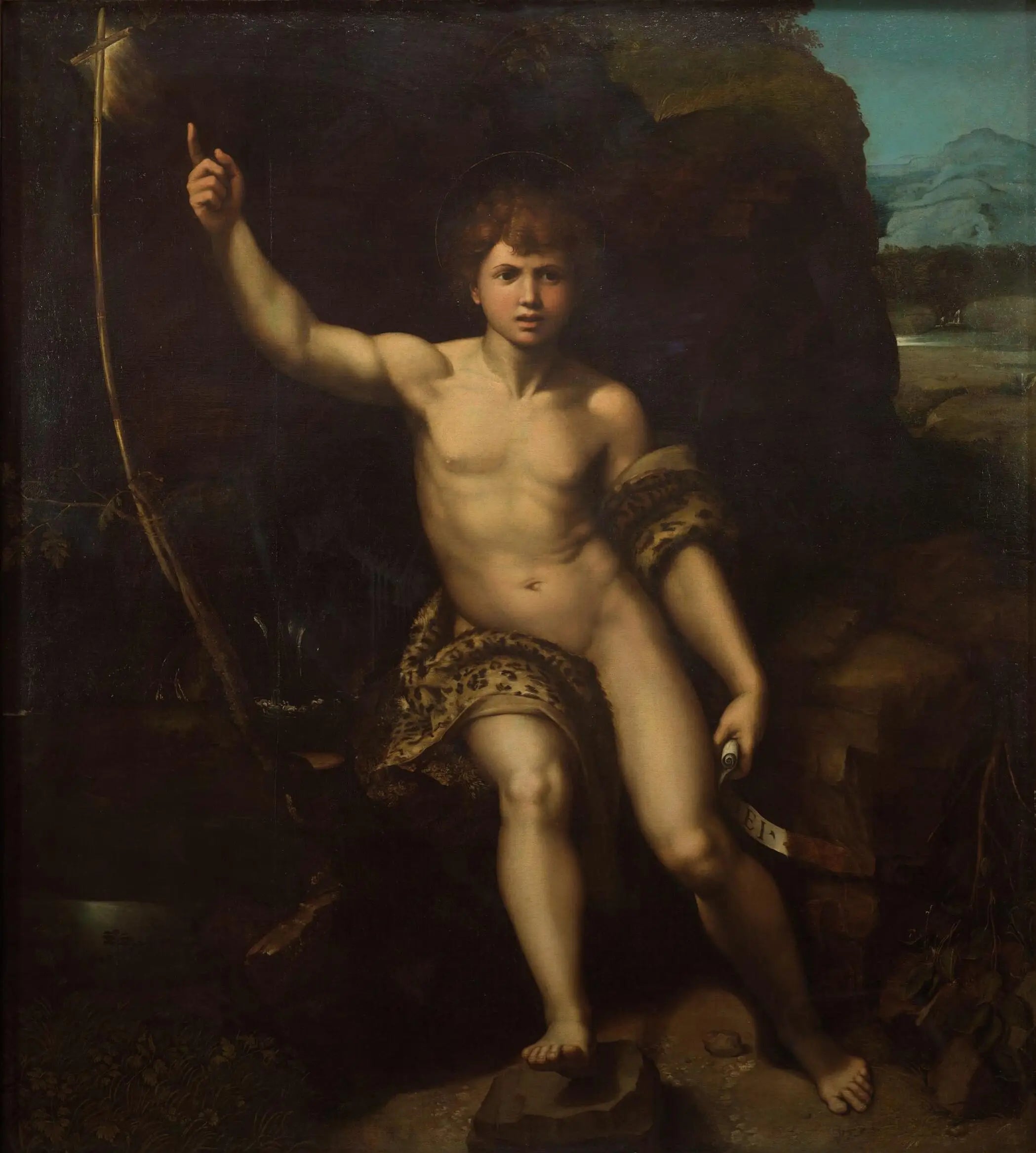 Saint Jean-Baptiste - Raphaël Sanzio image 1 copie de tableau peinte à la main