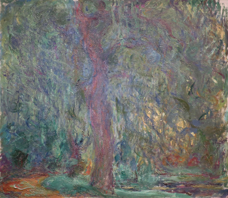 Плакучая ива, Мармоттан W1877 - Клод Моне