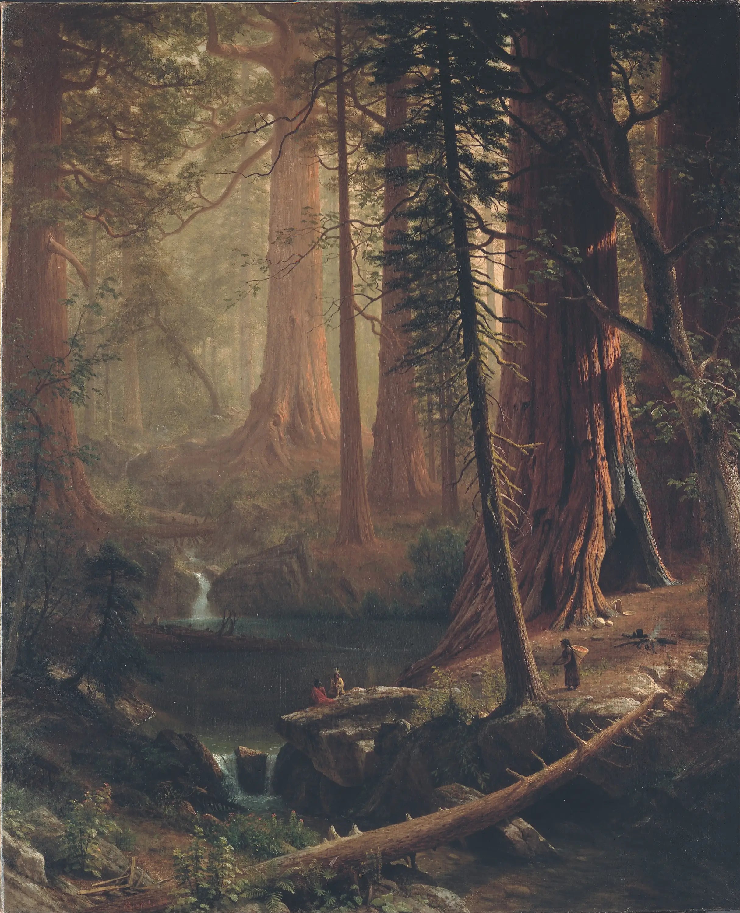 Séquoias géants de Californie - Albert Bierstadt - Alpha Reproduction