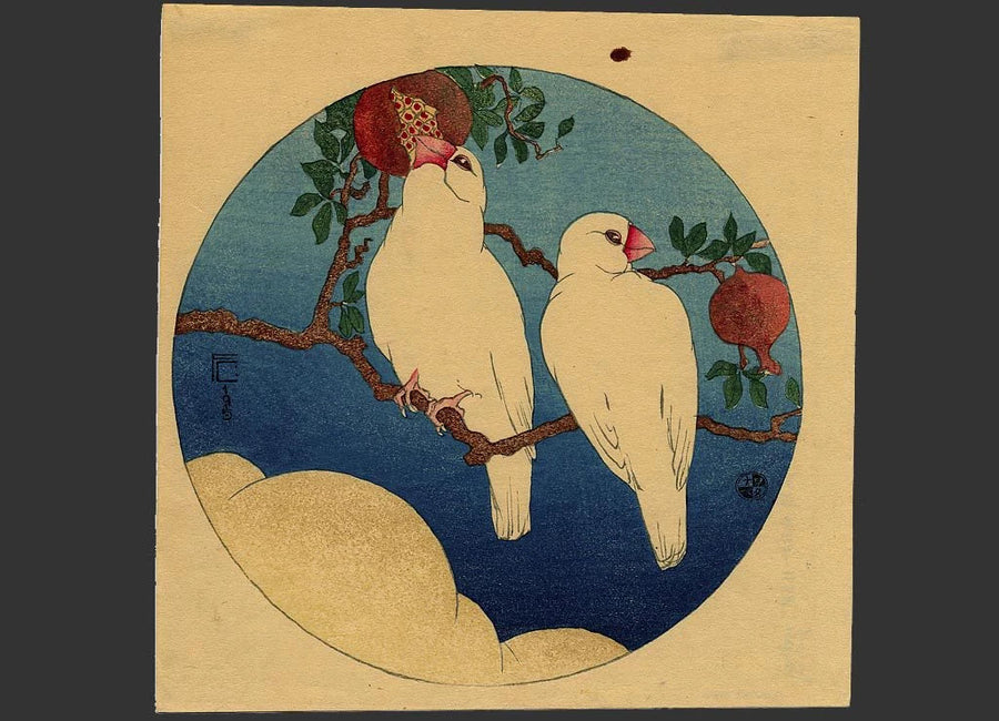 Oiseaux blancs dans un grenadier, le jour — Fritz Capelari