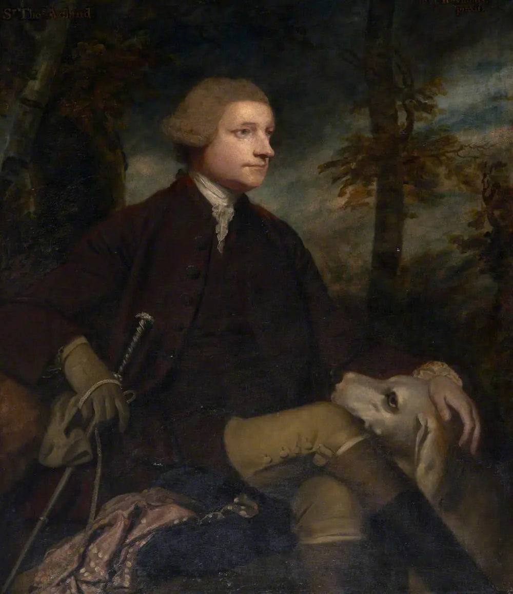 Sir Thomas Dyke Acland, 3e/7e baronnet Acland de Columb-John MP (1722-1785) - Joshua Reynolds image 1 copie de tableau peinte à la main