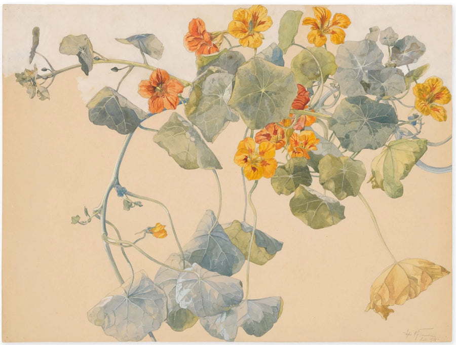 [Untitled (Nasturtium flowers)], peinture de Sophie Taeuber-Arp
