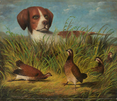 Sur le point - D.G. Stouter