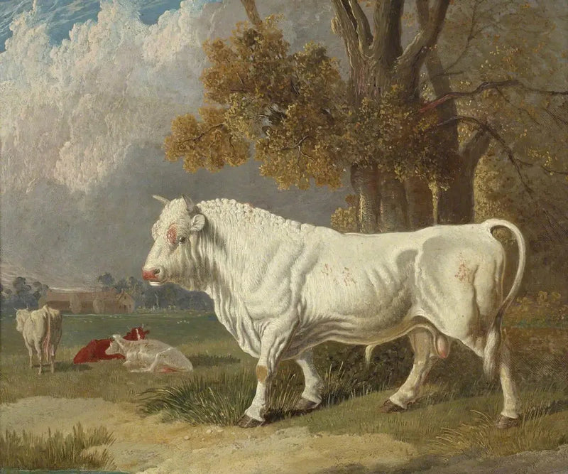 Белый бык, Фулборн, Кембриджшир, 1830 - Джон Фредерик Херринг-старший