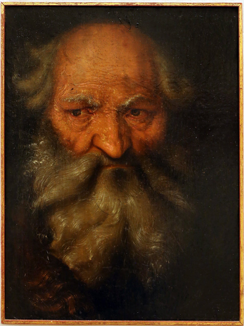 Голова пожилого мужчины - Hans Baldung Grien