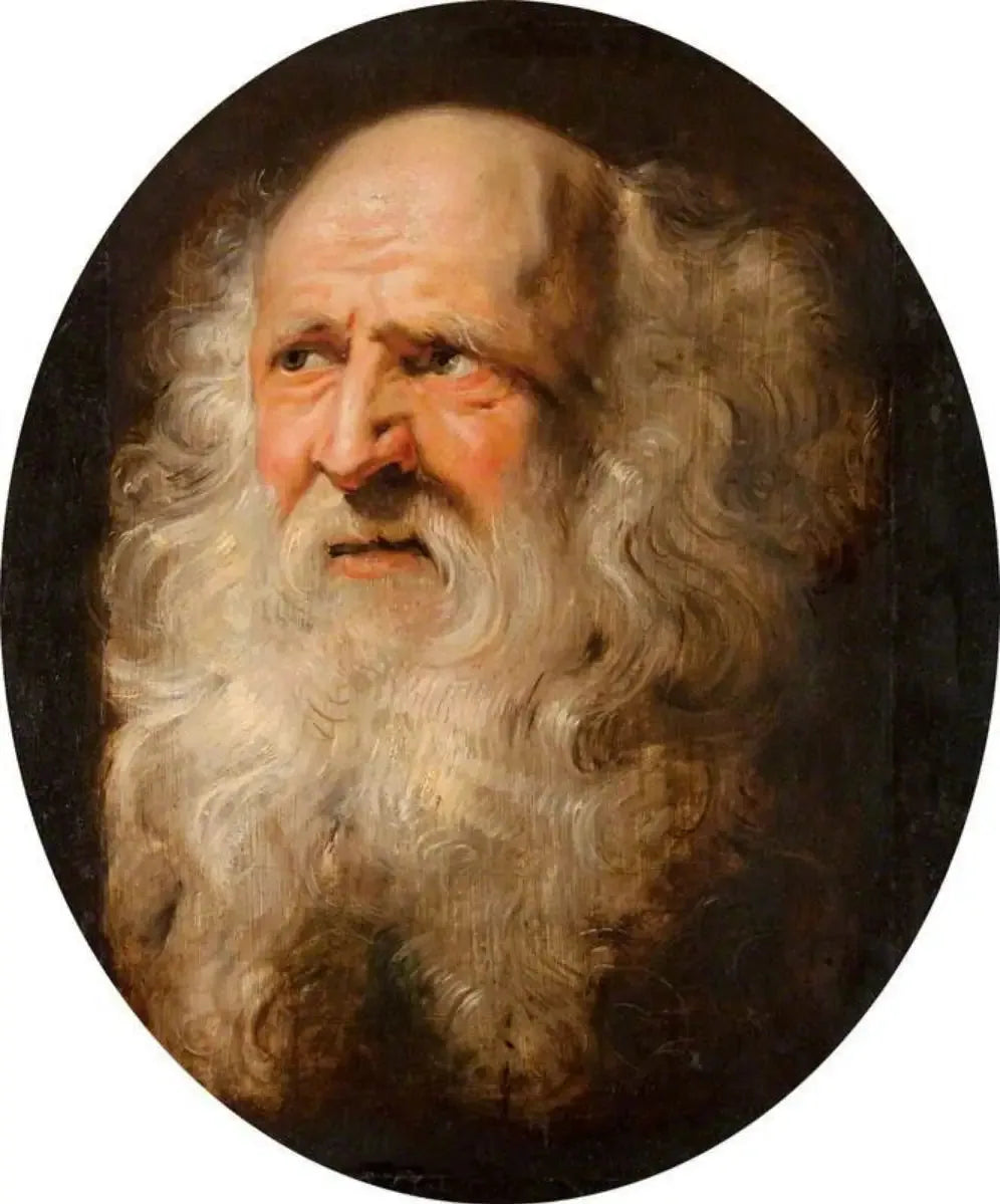 Tête d'un vieil homme - Peter Paul Rubens image 1 copie peinte à la main à l’huile