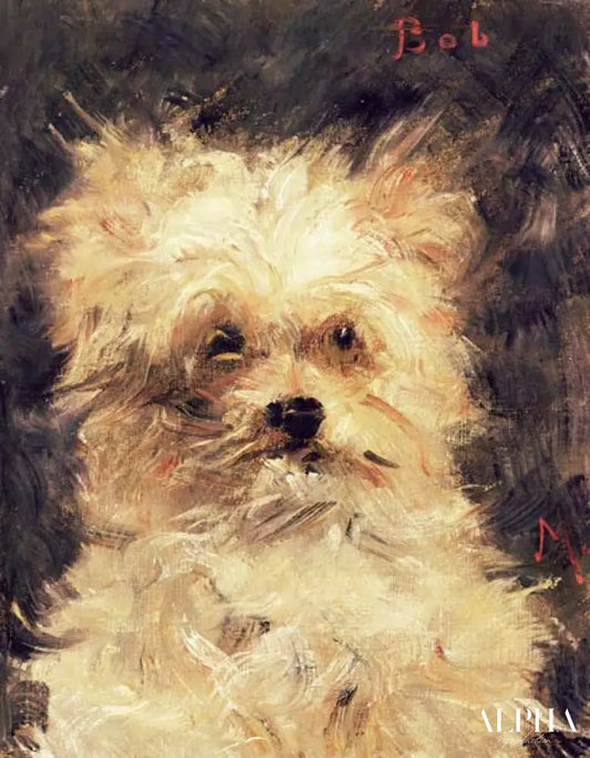 Tête d'un chien "Bob" - Edouard Manet - Reproductions de tableaux et peintures haut de gamme