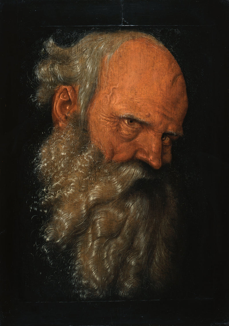 Голова пожилого бородатого мужчины - Hans Baldung Grien