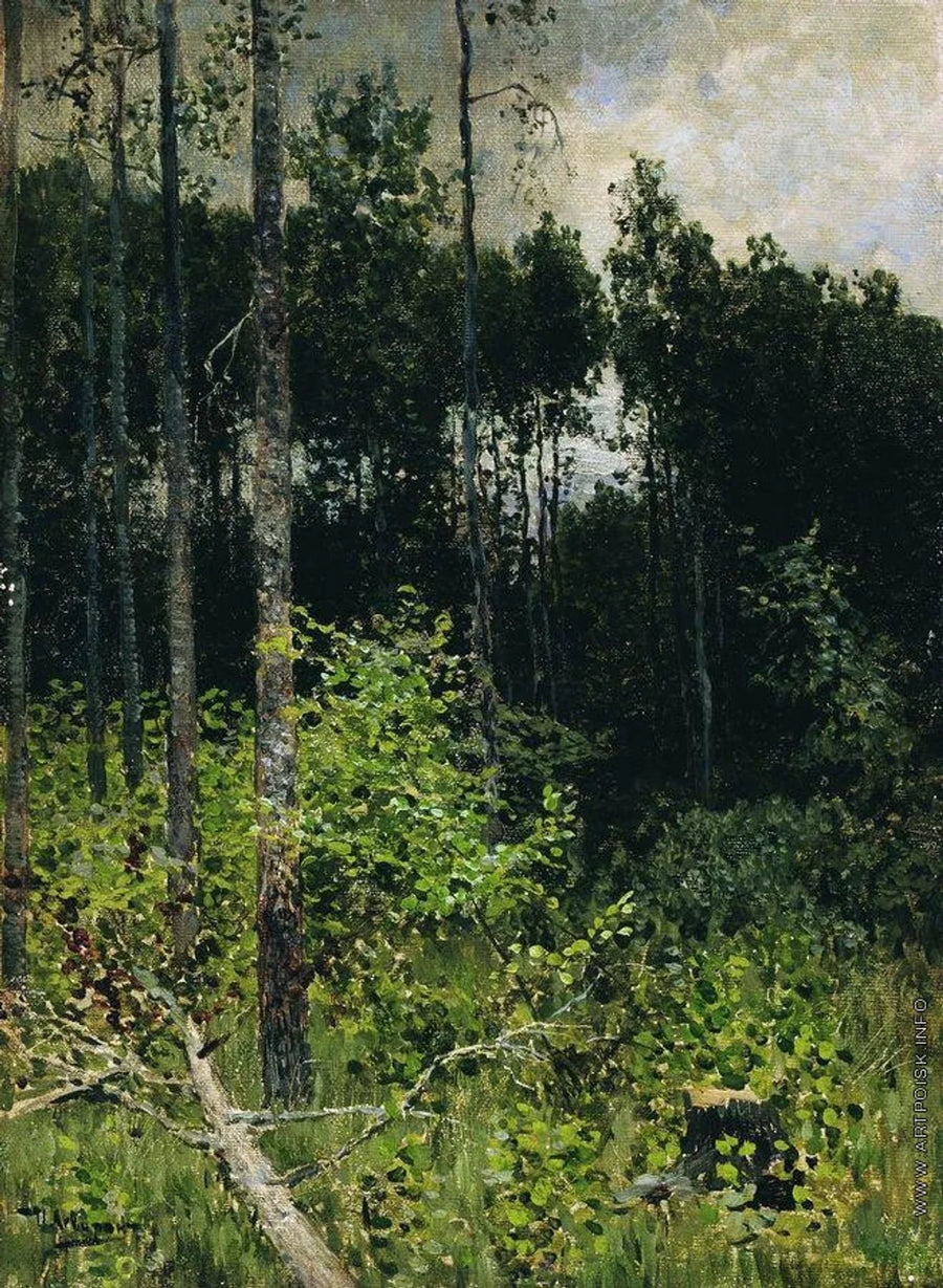 Bouleaux, jour gris, peinture de Isaac Levitan