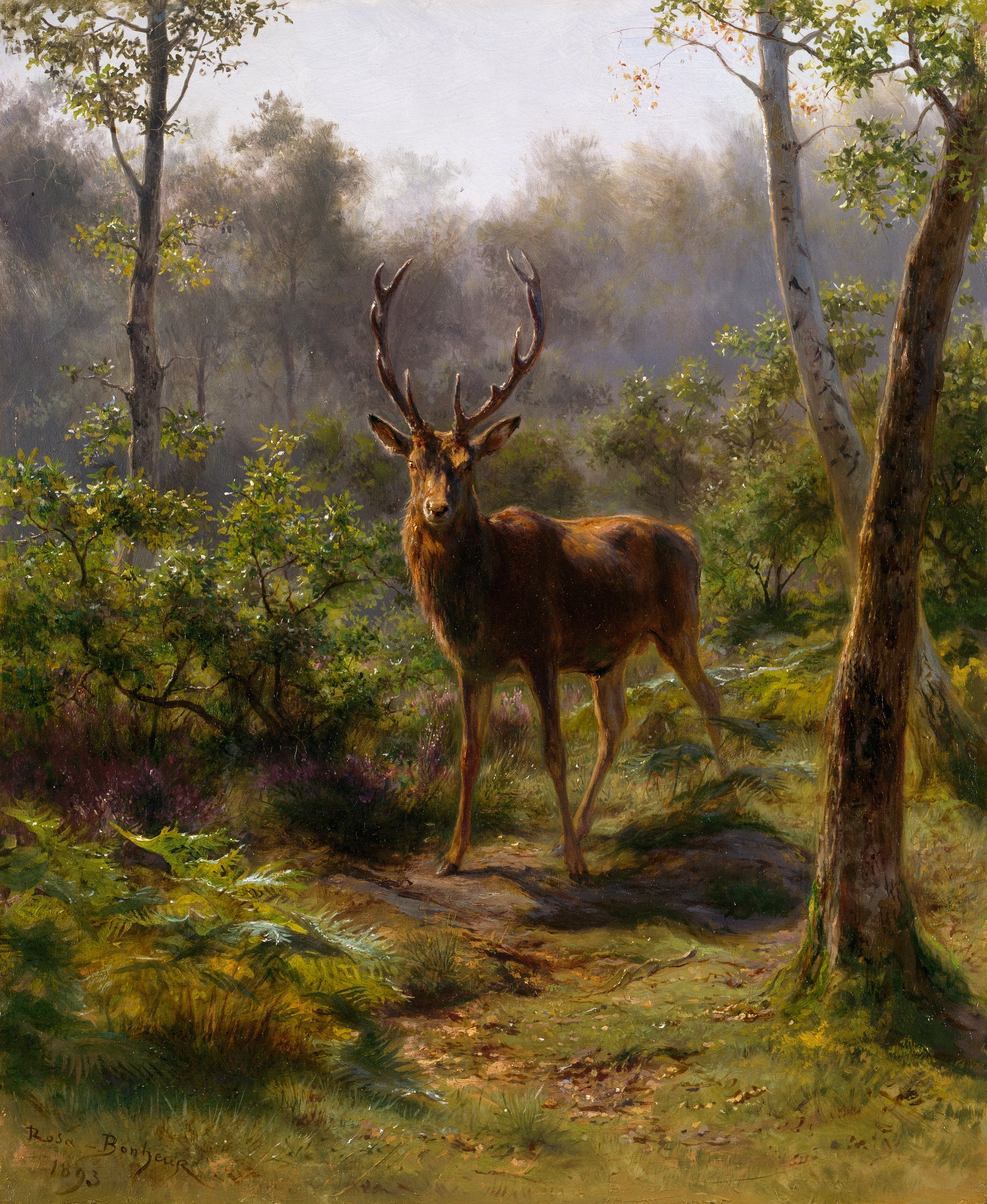 Un cerf - Rosa Bonheur - Alpha Reproduction