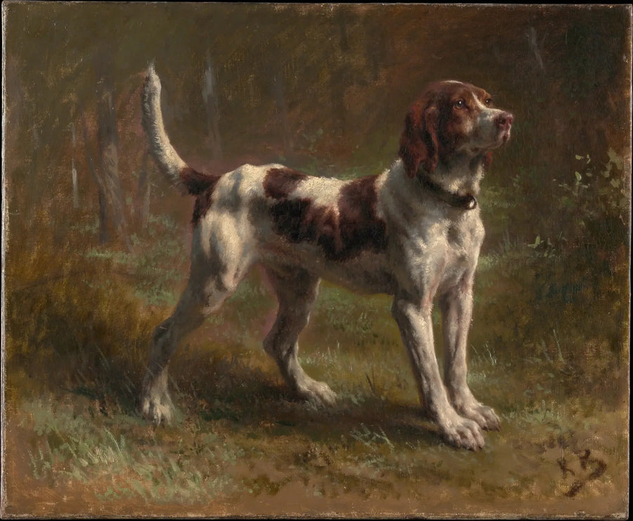 Ловчий Брикет - Роза Бонер