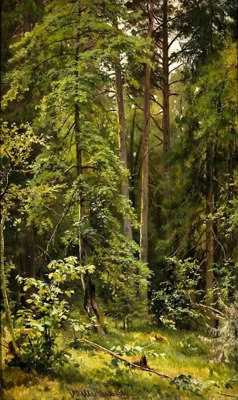 Une forêt - Ivan Chichkine - Alpha Reproduction