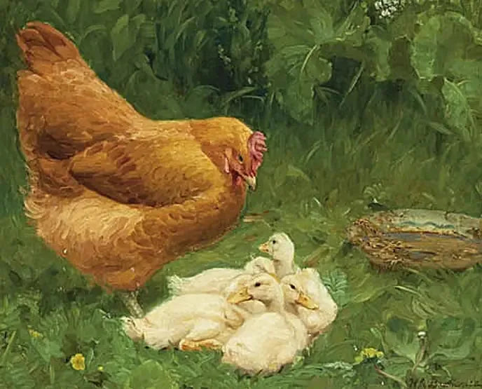 Курочка и несколько утят. - Х. А. Брендекильде