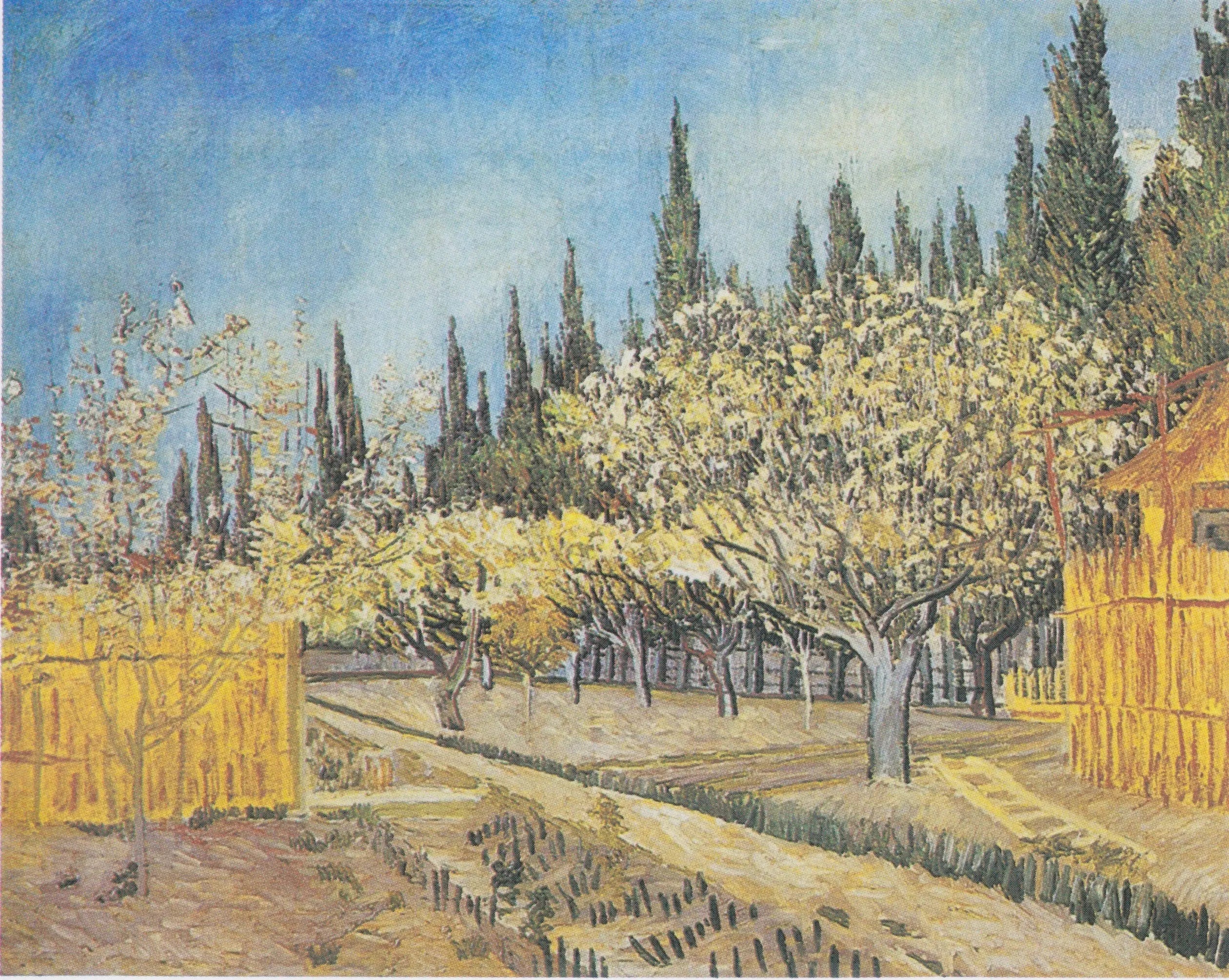 Reproduction du tableau « Verger en fleurs, bordé de cyprès - Vincent van Gogh » par Alpha Reproduction en peinture à l’huile