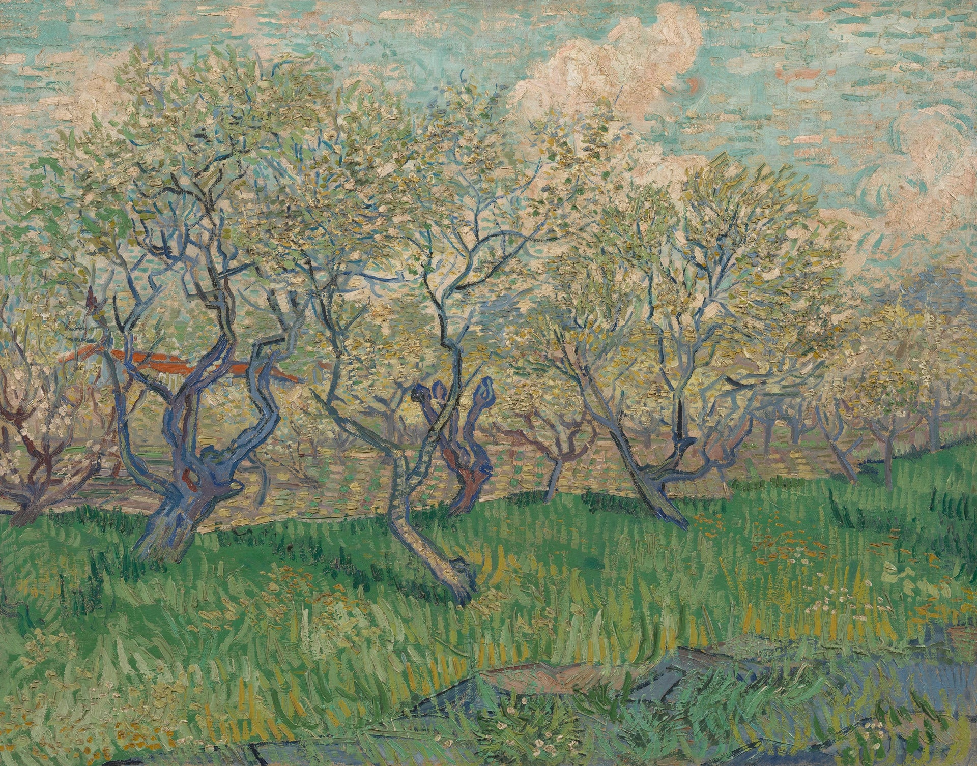 Verger en fleurs F511 — prunier blanc et rose dans un verger provençal peint par Vincent van Gogh