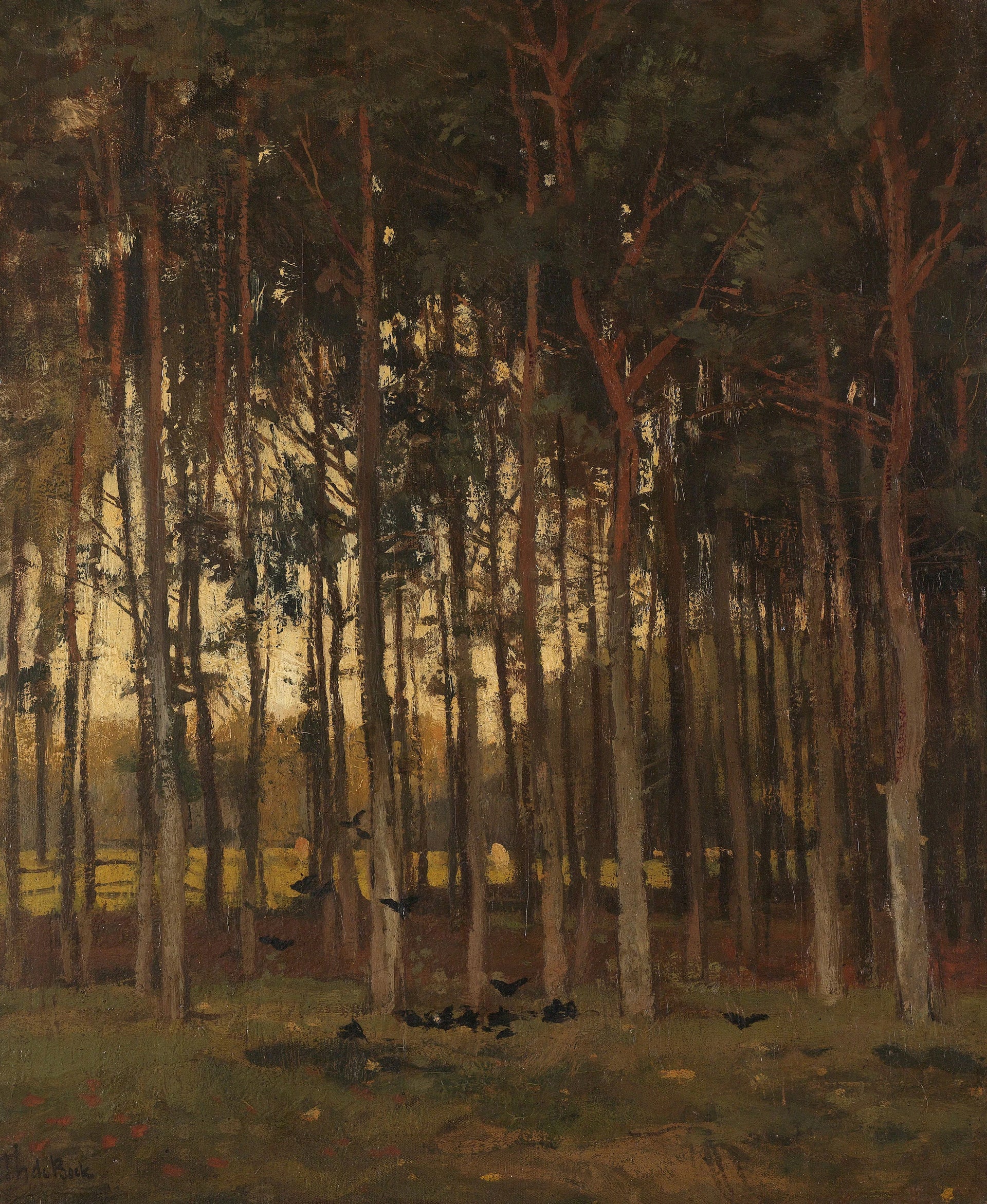 Vue sur la forêt - Théophile de Bock
