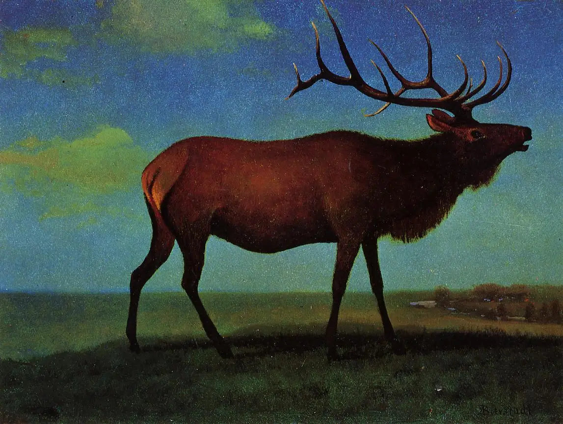 Wapiti mâle - Albert Bierstadt - Alpha Reproduction